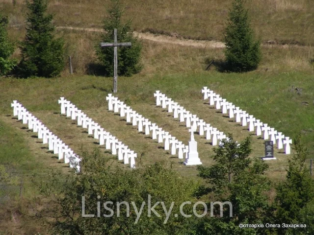 Панорама цвинтаря Українських січових стрільців у Лісниках
