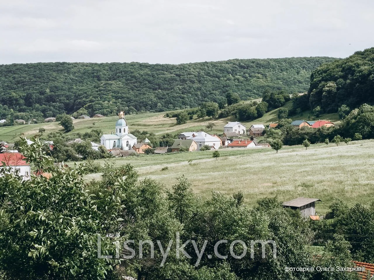 Панорама села Лісники з церквою